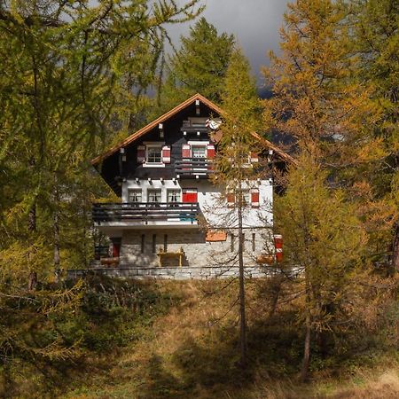 I Larici - Appartamento Per Sognare Alpe Devero Eksteriør bilde