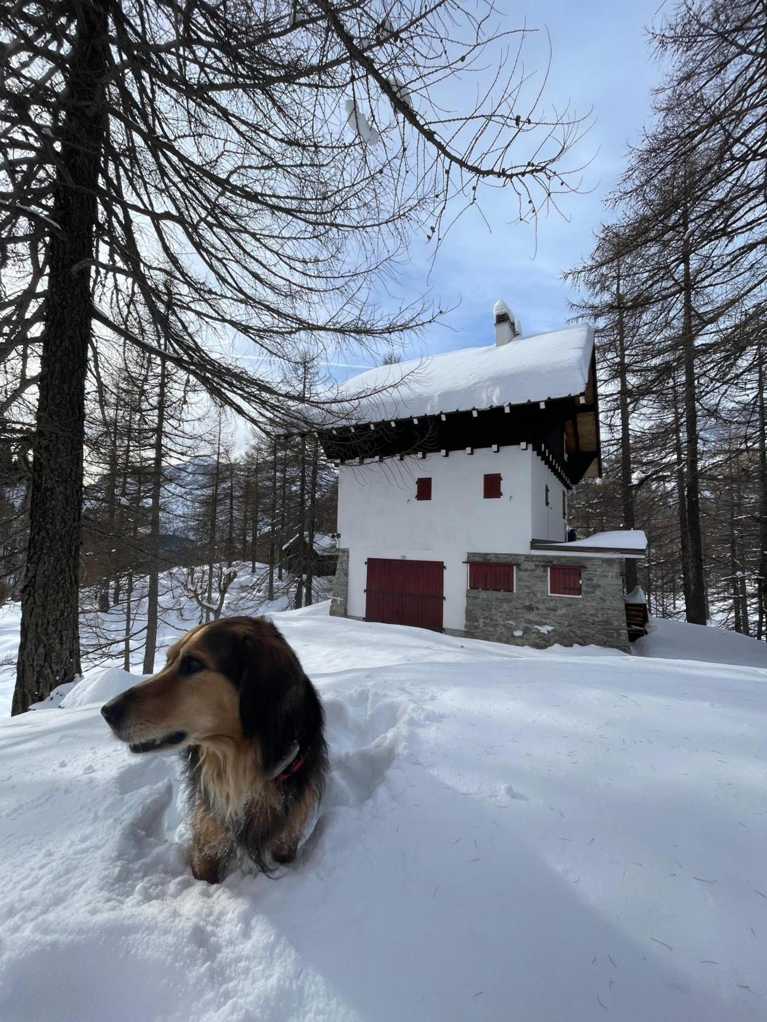 I Larici - Appartamento Per Sognare Alpe Devero Eksteriør bilde